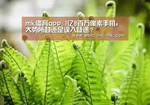 mk体育app_1亿8百万像素手机，大势所趋还是误入歧途？
